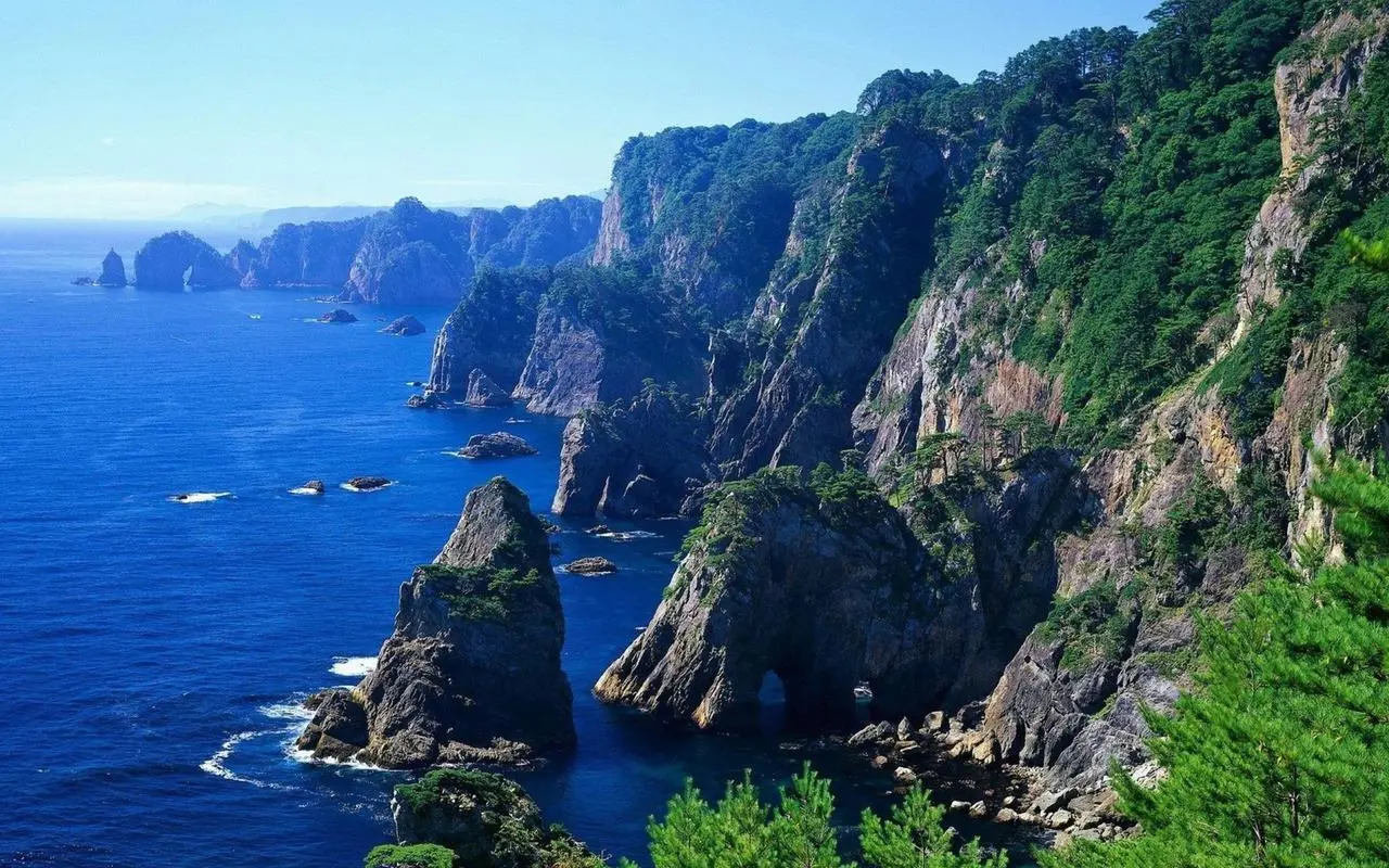 高精度全自动先进